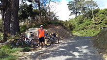 Cycling by the pine tree