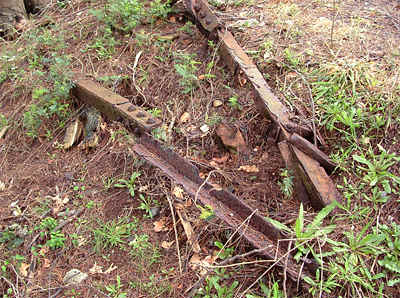 felled pylon1