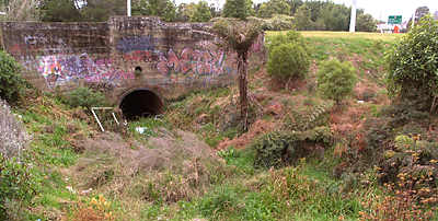 Before 1987, Mill Stream passed beneath Barry Road through this culvert. The stream bed between the culvert and Speak’s Quarry used to be a water race. Water still flows during heavy rain. 2008