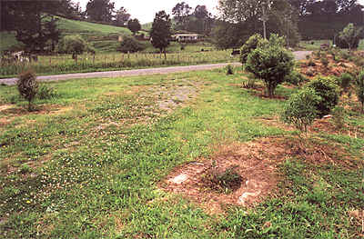 The "pumphouse" machine mounts can be seen in the foreground