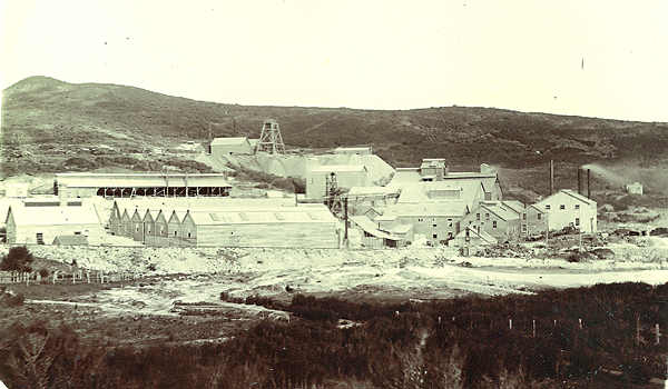 Waihi Battery from Speak’s Quarry area, c. 1895-6.